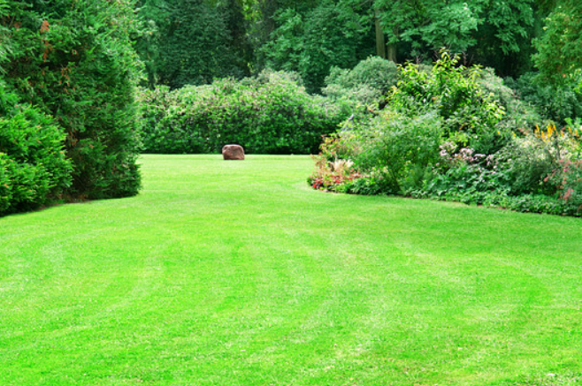 Your lawn will always be healthy and well taken care of with CSRA Ground Control.